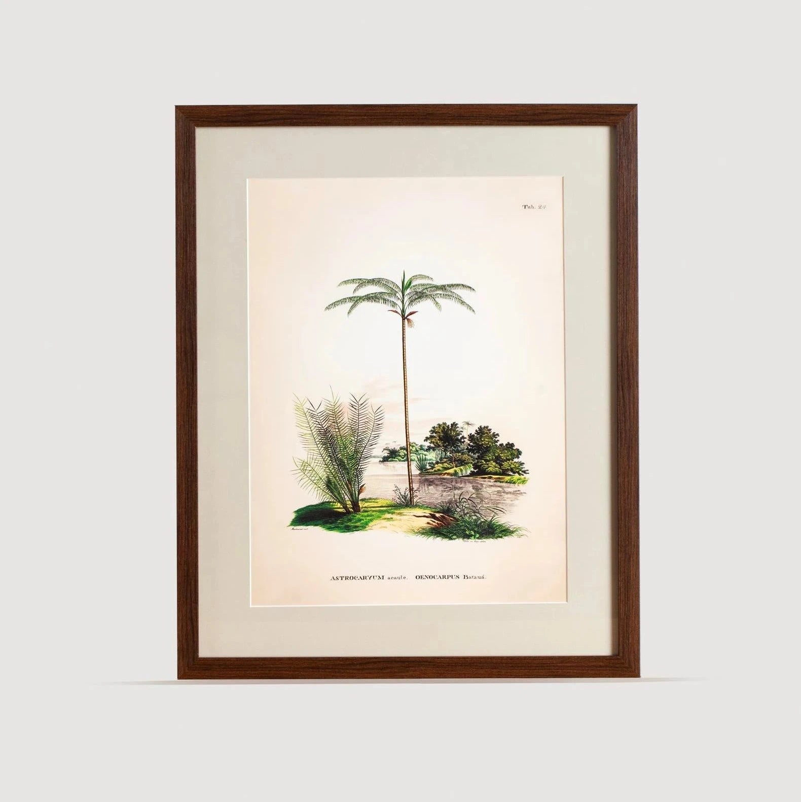Tropical Serisi Tablo No:1