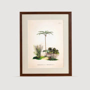 Tropical Serisi Tablo No:1
