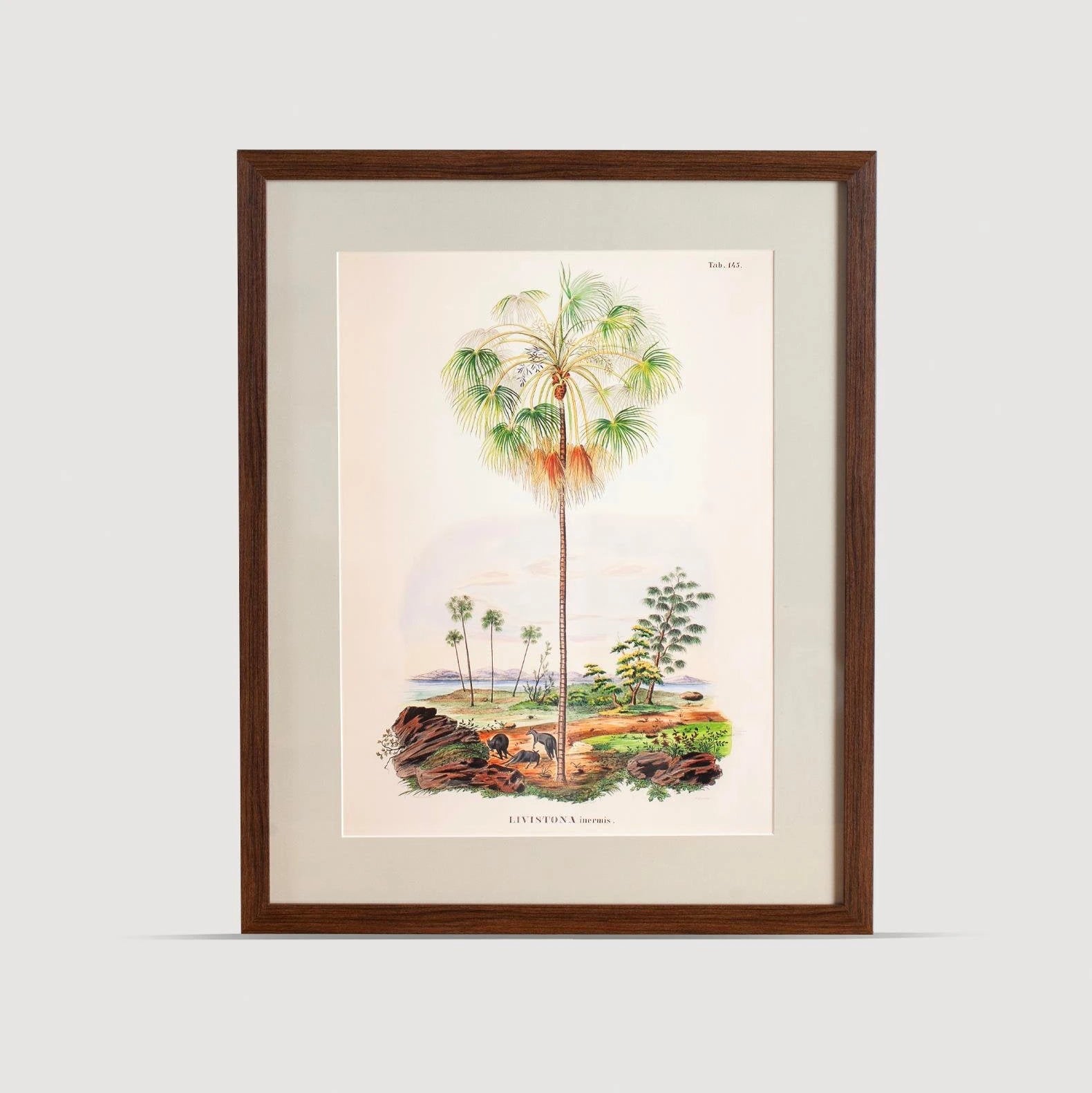 Tropical Serisi Tablo No:2