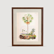 Tropical Serisi Tablo No:2