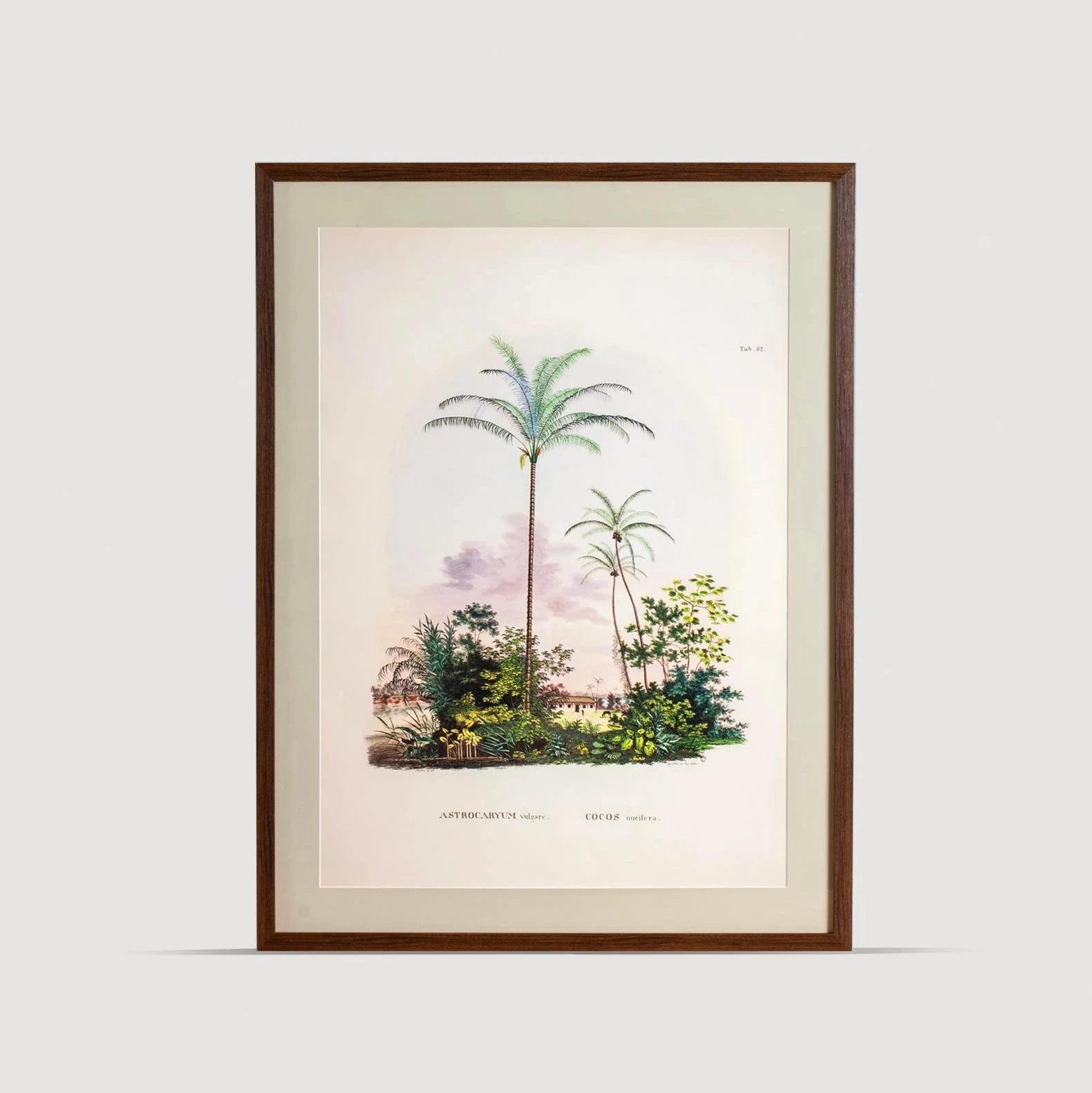 Tropical Serisi Tablo No:3