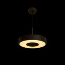 Troppo Led Sarkıt Avize 40 Cm