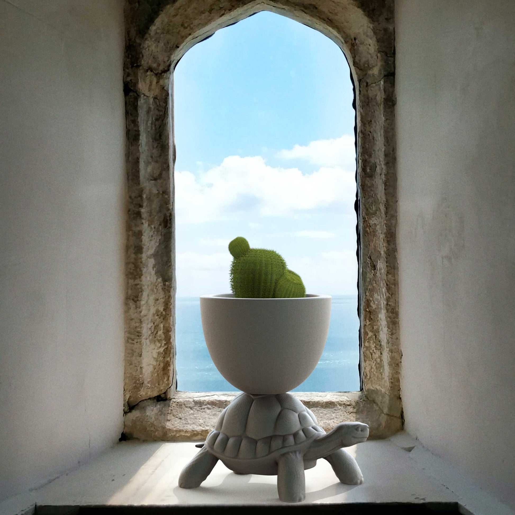 Turtle Carry Gri Saksı/Şampanya Soğutucu