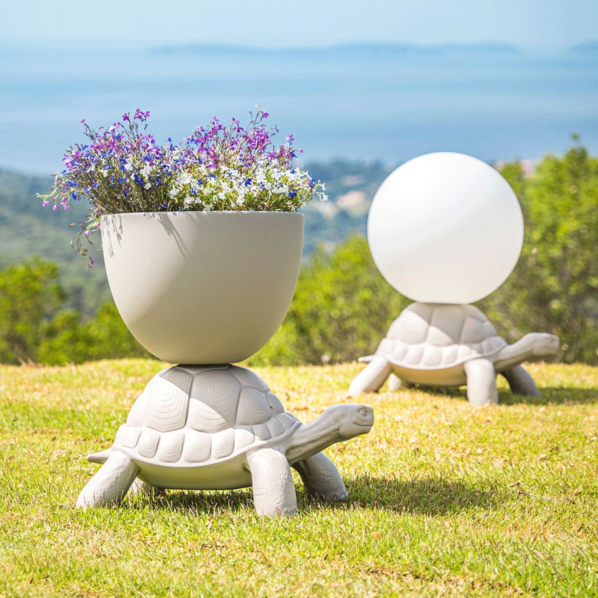 Turtle Carry Gri Saksı/Şampanya Soğutucu