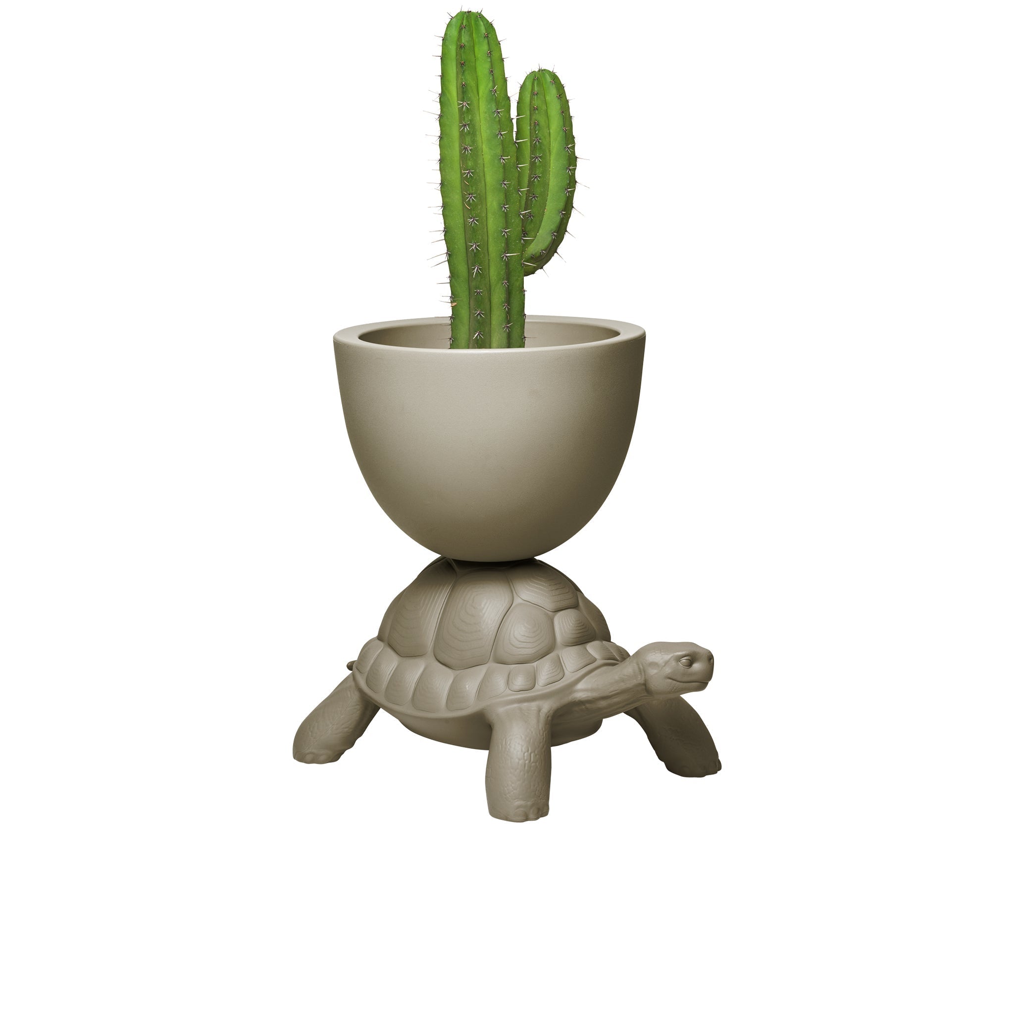 Turtle Carry Gri Saksı/Şampanya Soğutucu