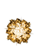 Veli Gold Mini Tavan ve Duvar Aydınlatması