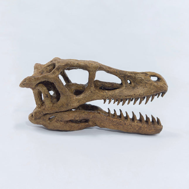 Velociraptor Mini Seramik Heykel-Heykel-The Fossil Art-NowShopFun
