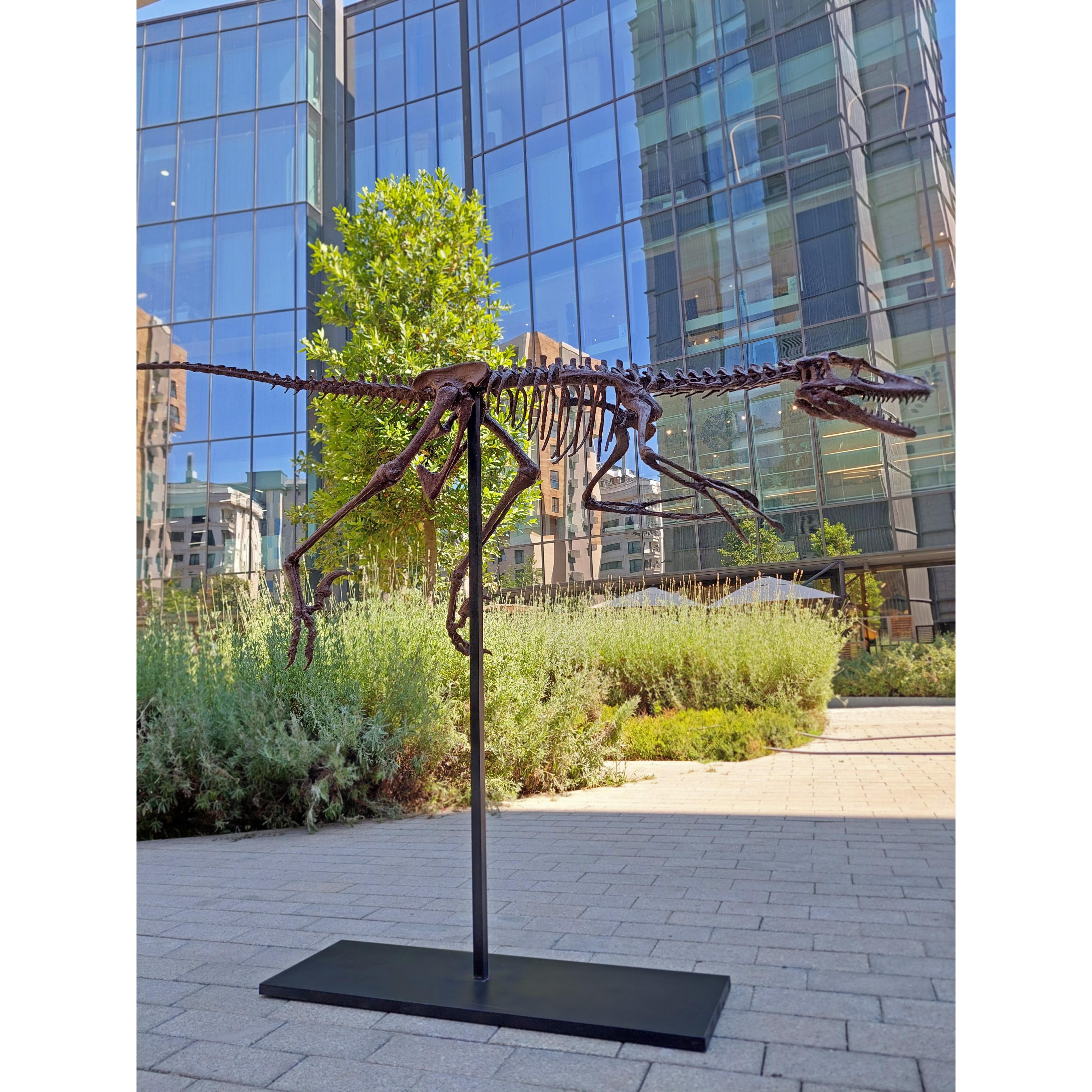 Velociraptor Tam İskelet Seramik Heykel