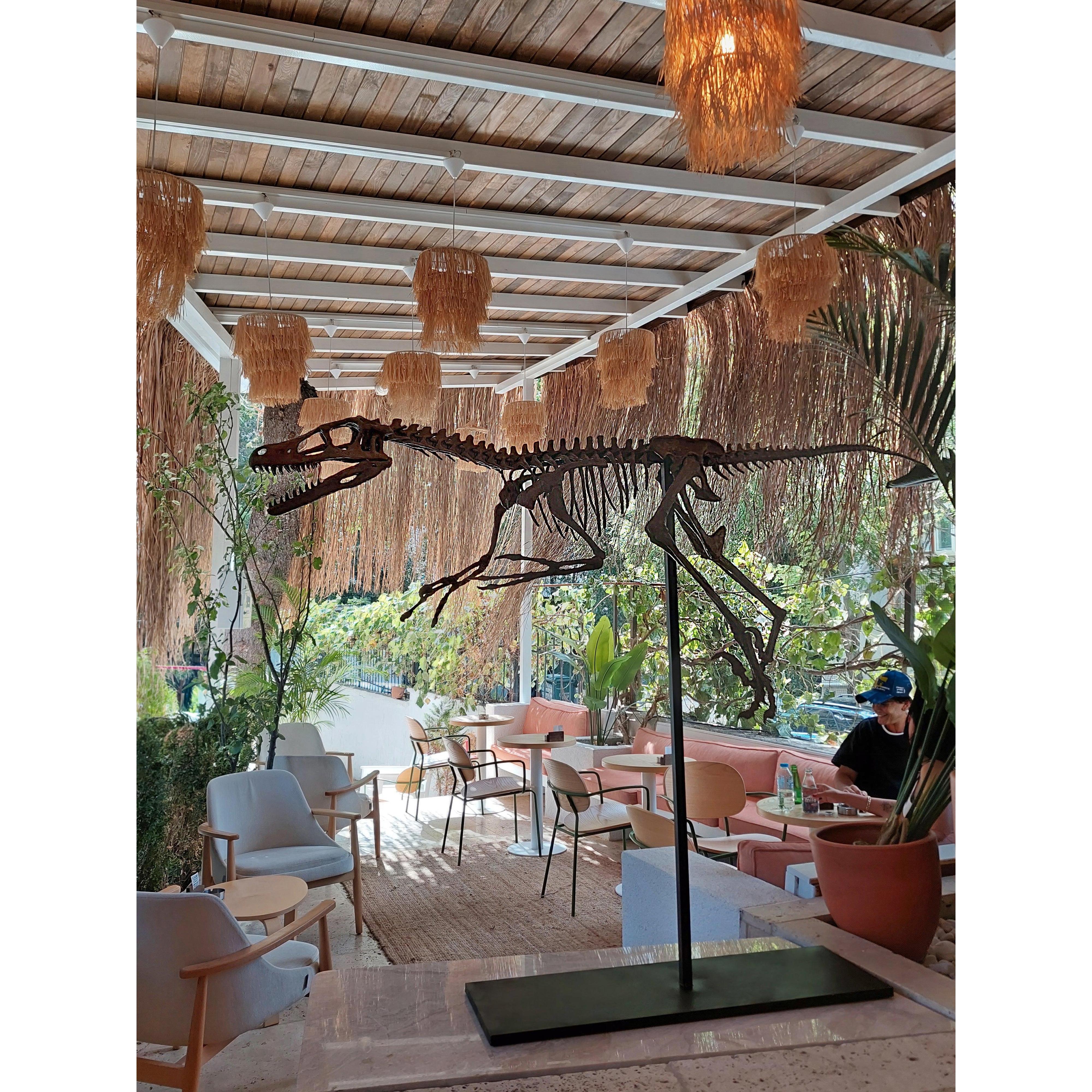 Velociraptor Tam İskelet Seramik Heykel