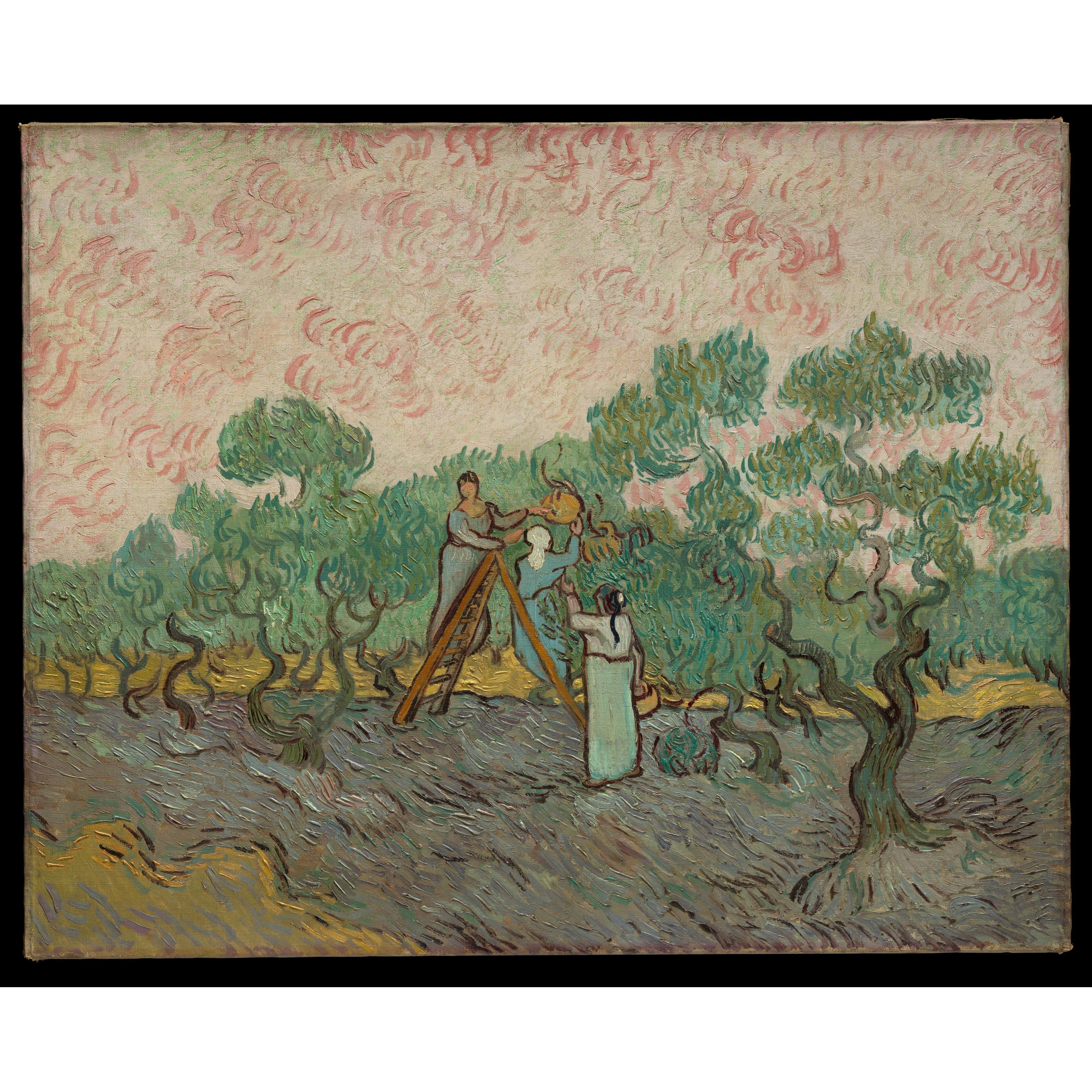 Vincent van Gogh - Zeytin Toplayan Kadınlar Fine Art Baskı