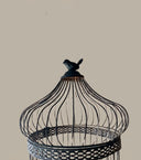 Bird Gri/Mavi Metal Kuş Kafesi Aydınlatma