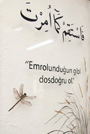 Yusufçuk Çerçeve