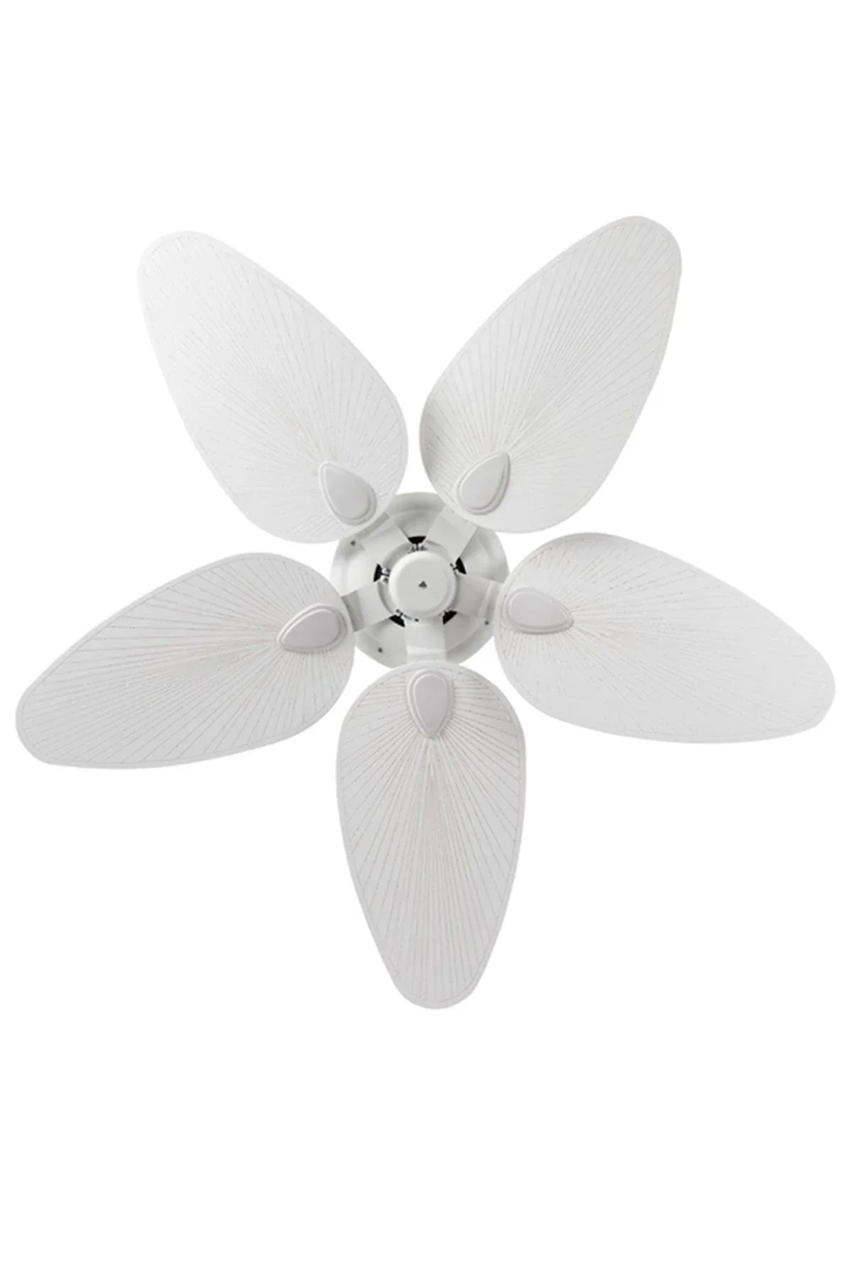 Zephia Tavan Vantilatörü No:1