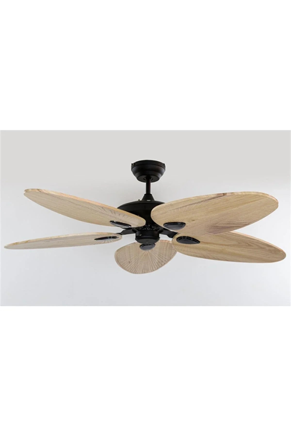 Zephiatavan Vantilatörü No:3