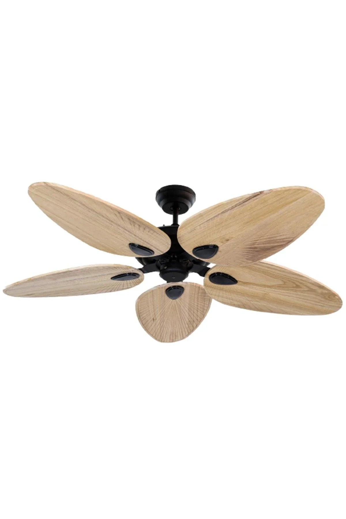 Zephiatavan Vantilatörü No:3