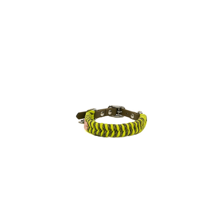 Zesty Paracord Small Köpek Tasması-Tasma-Redzill-S-NowShopFun