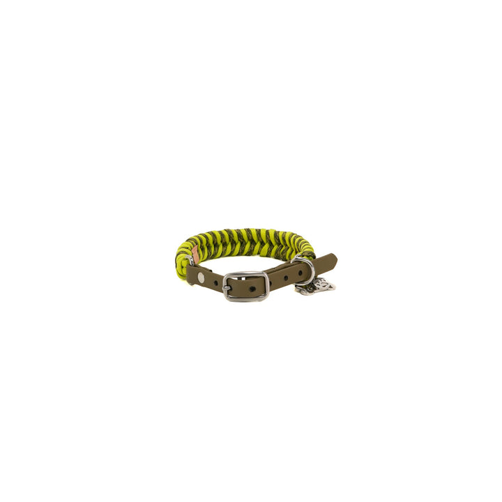 Zesty Paracord Small Köpek Tasması-Tasma-Redzill-S-NowShopFun