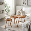 Premium Rattan 3'lü Sehpa Seti