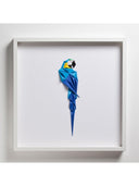 Blue Macaw Tablo