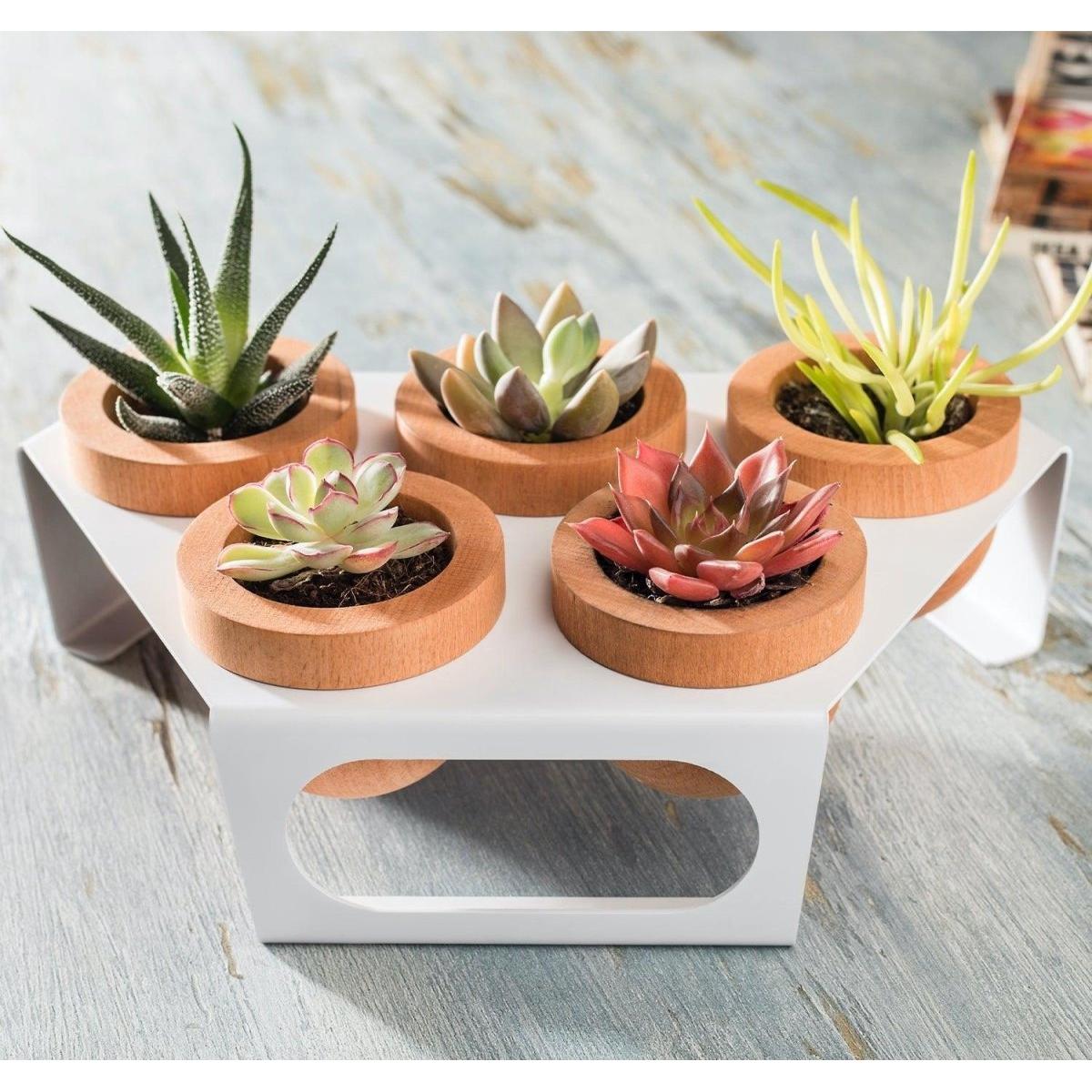 Dew 5'Li Saksı, Metal Standlı Ahşap Saksı Beyaz-Meşe