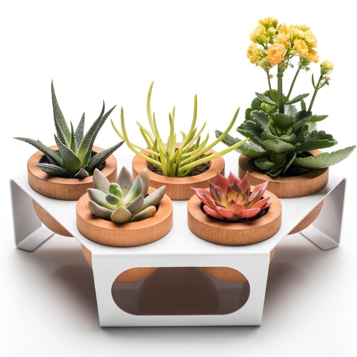 Dew 5'Li Saksı, Metal Standlı Ahşap Saksı Beyaz-Meşe