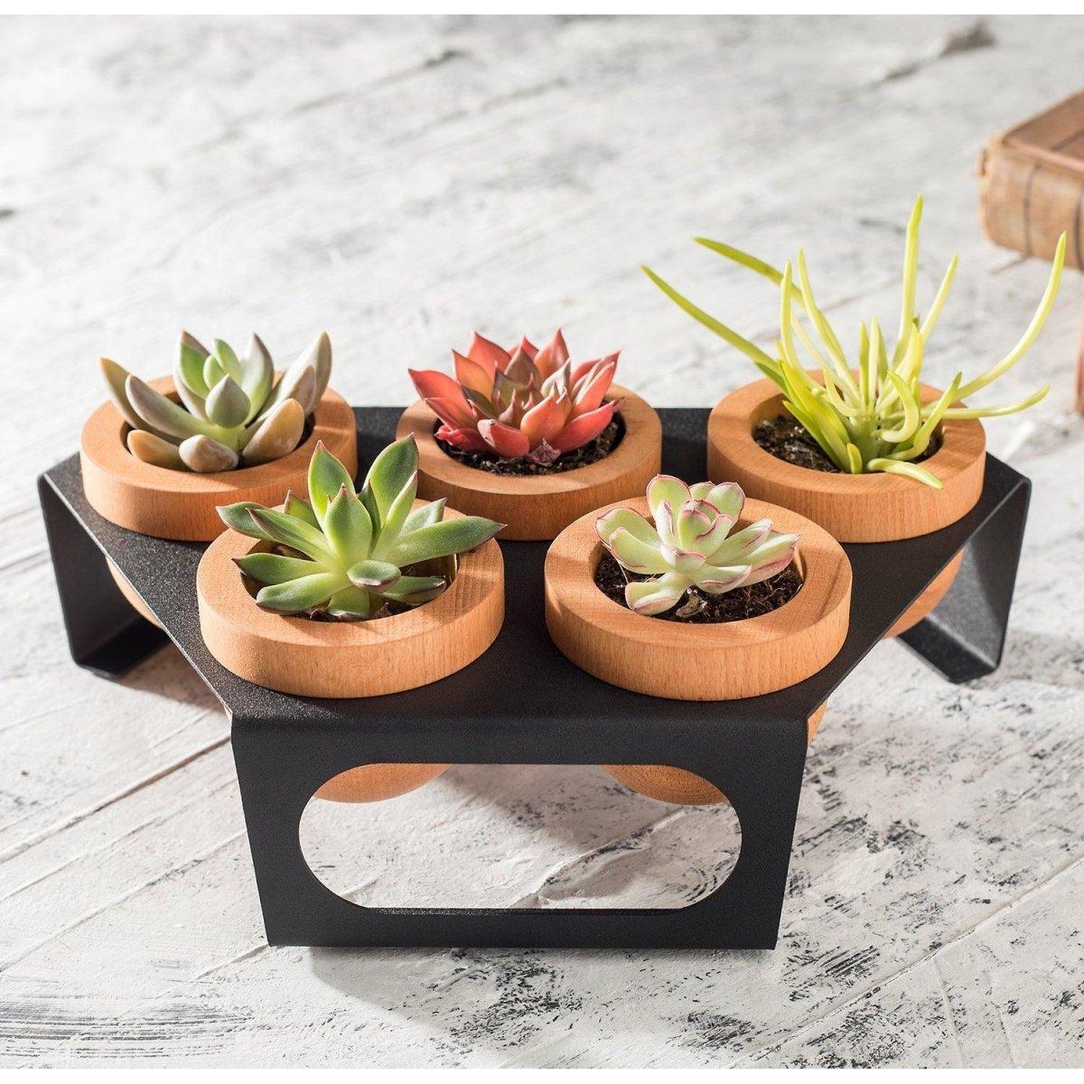 Dew 5'Li Saksı, Metal Standlı Ahşap Saksı Siyah-Meşe