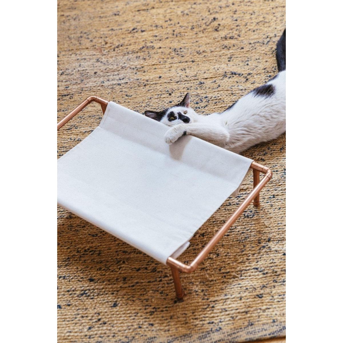 Huckleberry Bakır Kedi Yatağı