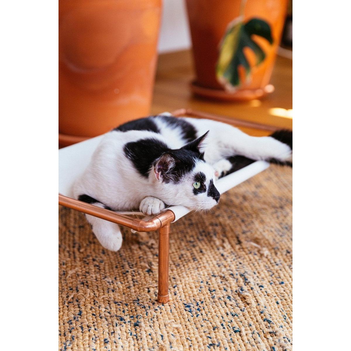 Huckleberry Bakır Kedi Yatağı