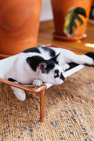 Huckleberry Bakır Kedi Yatağı-Evcil Hayvan Yatağı-CC Copper Design-Doğal-NowShopFun