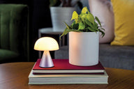 Lexon Mina M Led Lamba Lila-Masa Lambası-Lexon-NowShopFun