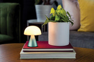 Lexon Mina M Led Lamba - Mint-Masa Lambası-Lexon-NowShopFun
