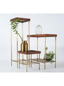 Masif Ceviz Yan Sehpa / Saksılık Set – EDGE AGED Serisi Gold Eskitme Ayaklı