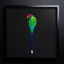 Plam Headed Parakeet Tablo