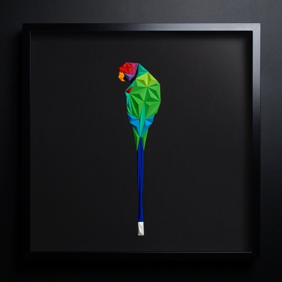 Plam Headed Parakeet Tablo