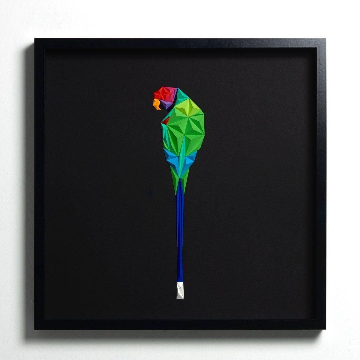 Plam Headed Parakeet Tablo