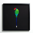 Plam Headed Parakeet Tablo