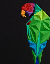 Plam Headed Parakeet Tablo-Tablo-paperpan-NowShopFun