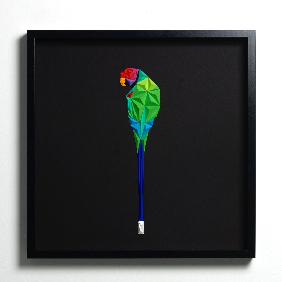 Plam Headed Parakeet Tablo