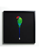 Plam Headed Parakeet Tablo