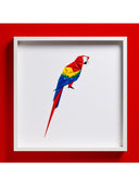 Scarlet Macaw Tablo
