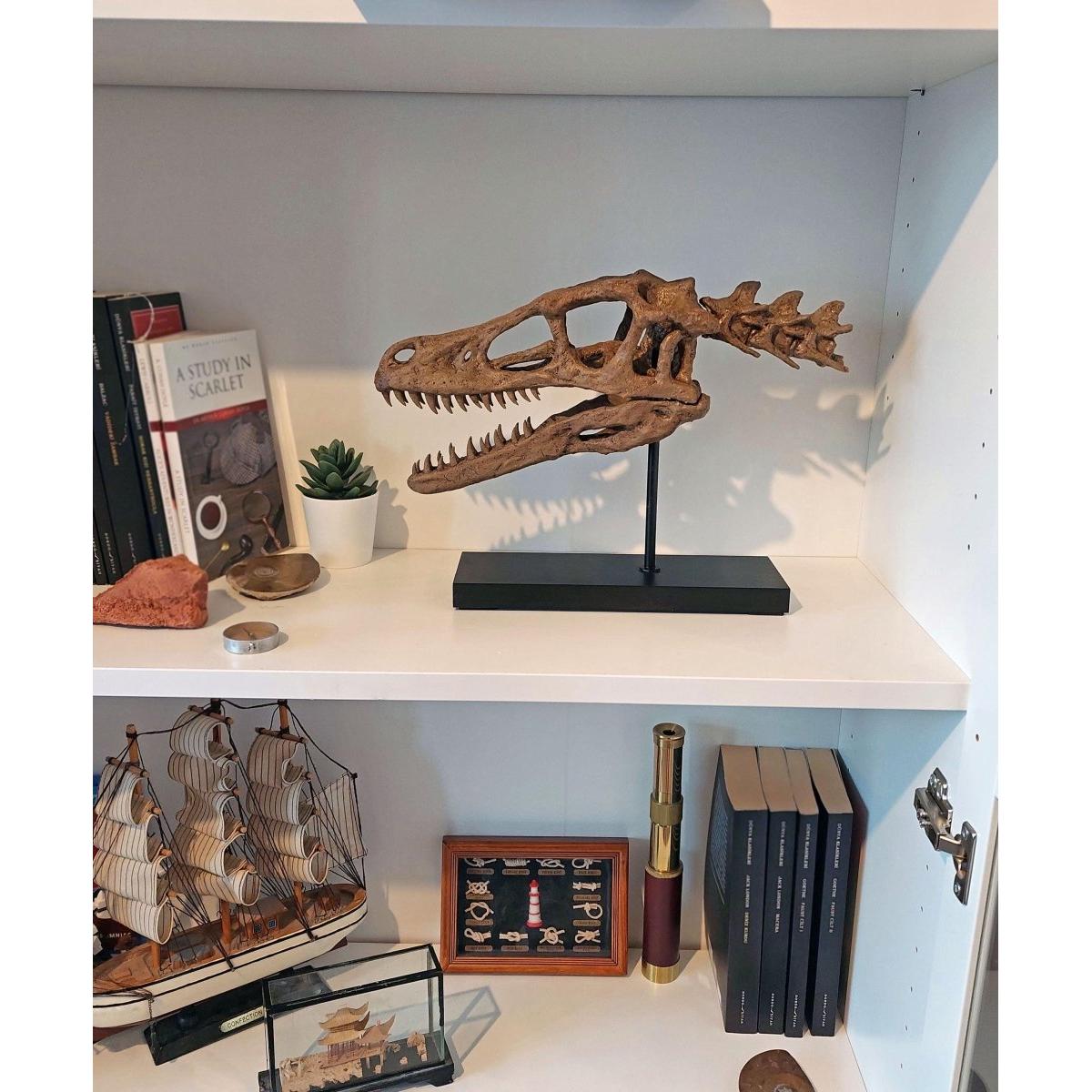 Velociraptor Fosil Heykeli (Omurgalı)