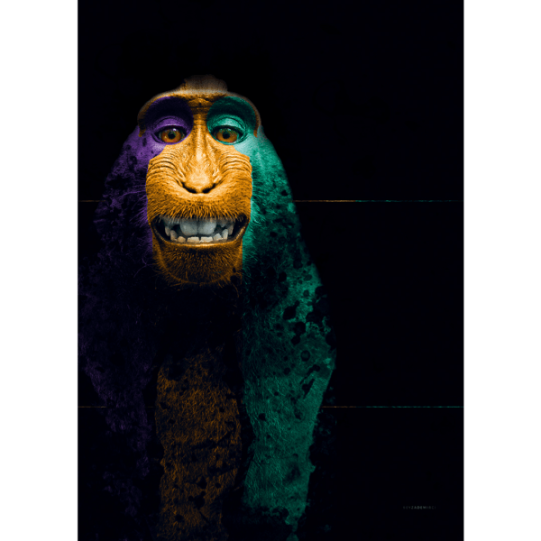 Beyza Demirci - Smiling Monkey Baskı (Çerçevesiz) - Baskı