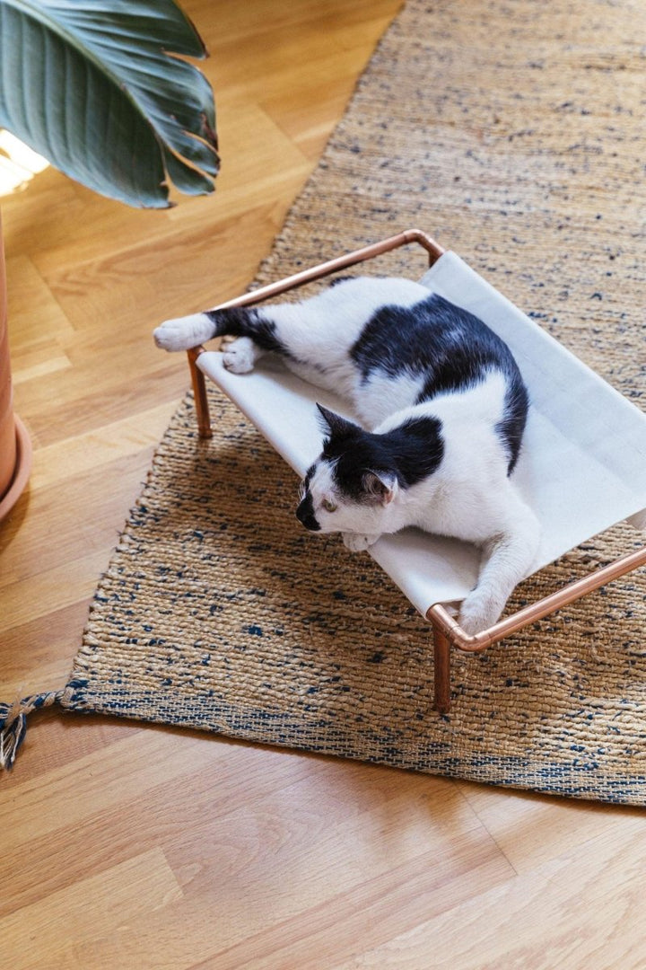 Huckleberry Bakır Kedi Yatağı