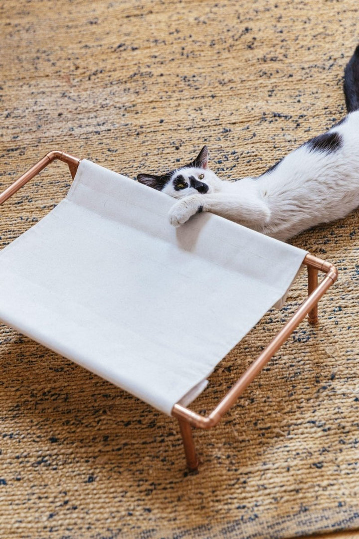 Huckleberry Bakır Kedi Yatağı