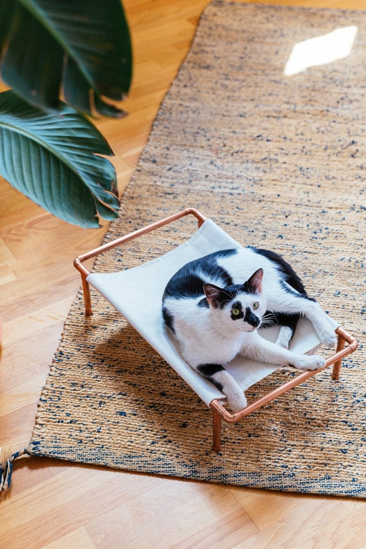 Huckleberry Bakır Kedi Yatağı