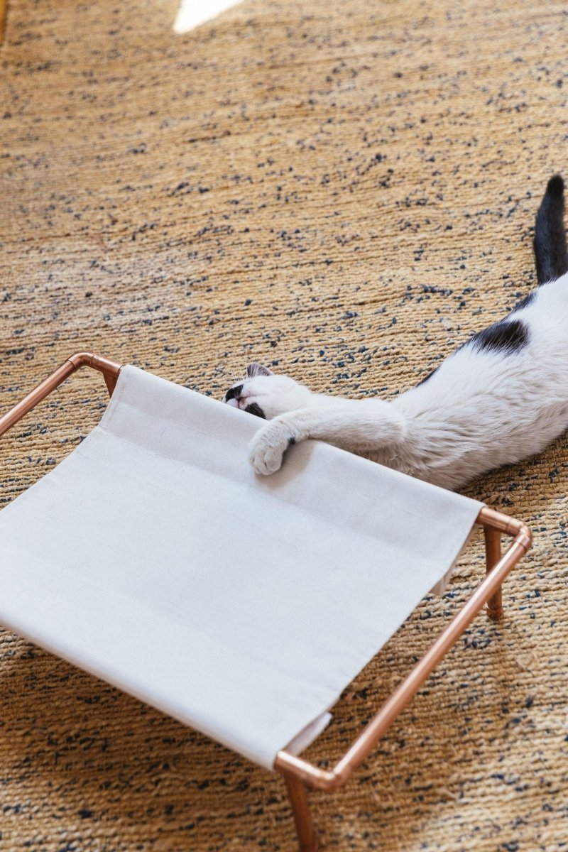 Huckleberry Bakır Kedi Yatağı
