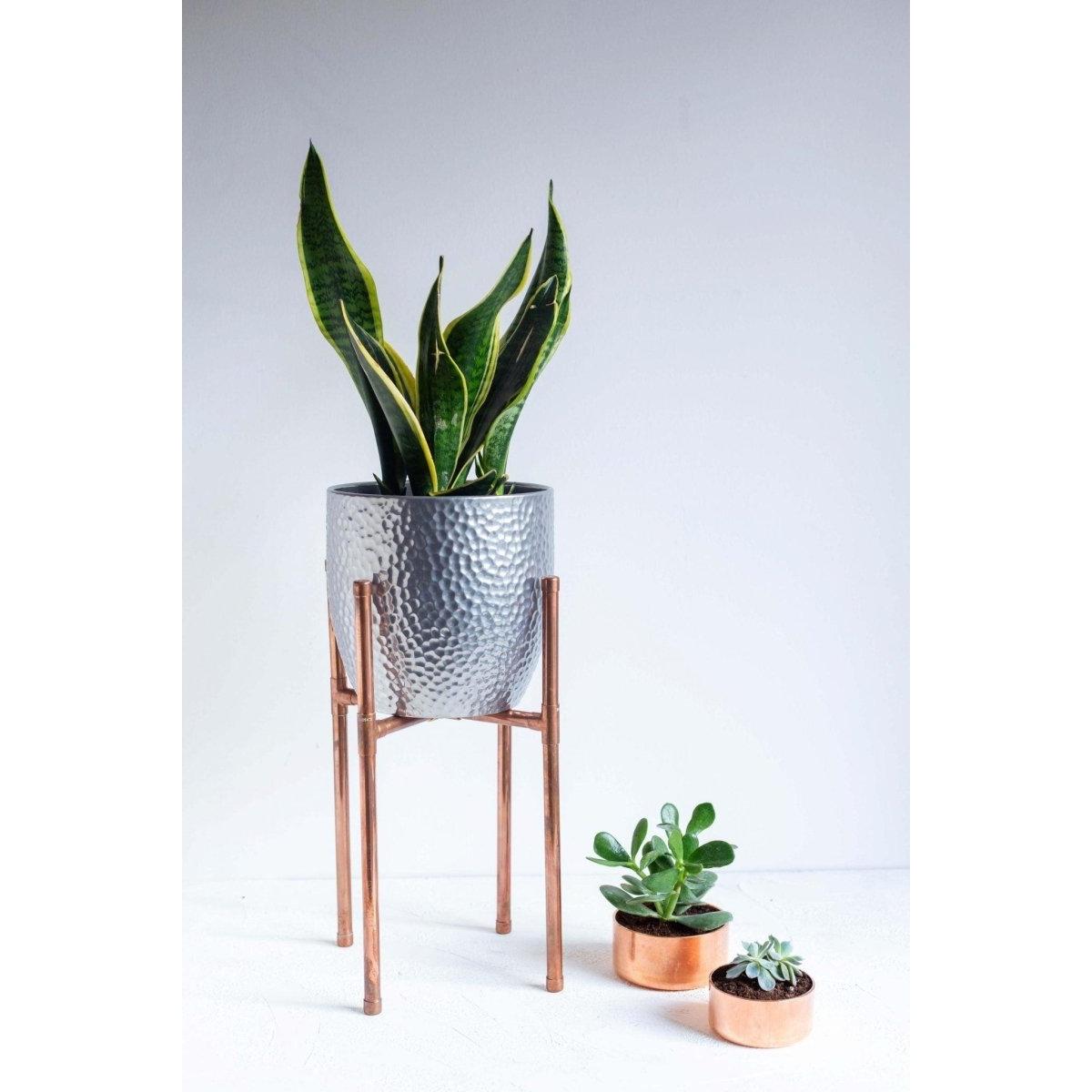 Northparkes Bakır Çiçek Standı