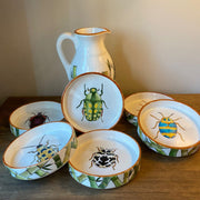 Bugs Set
