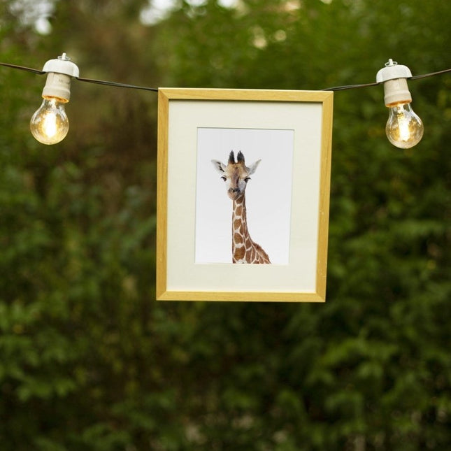 Little Forest Animals - Gloria the Giraffe Tablo - Tablo