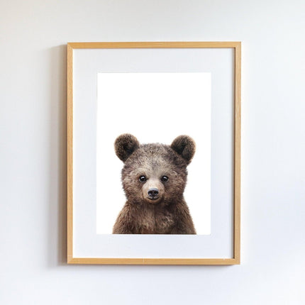 Little Forest Animals - Paul the Bear Tablo - Tablo